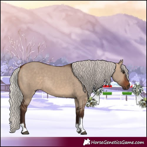 Horse Color:Silver Brown Dun Tobiano 