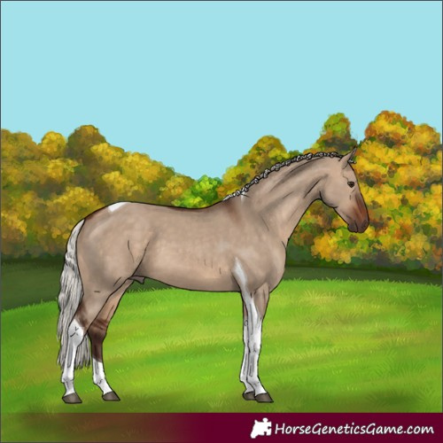 Horse Color:Silver Brown Dun Tobiano 