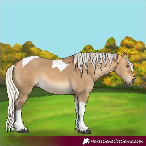 Horse Color:Silver Buckskin Dun Tobiano 