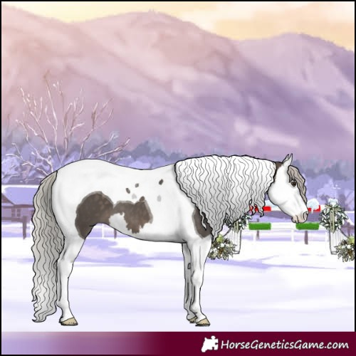 Horse Color:Silver Brown Dun Splash Tobiano 