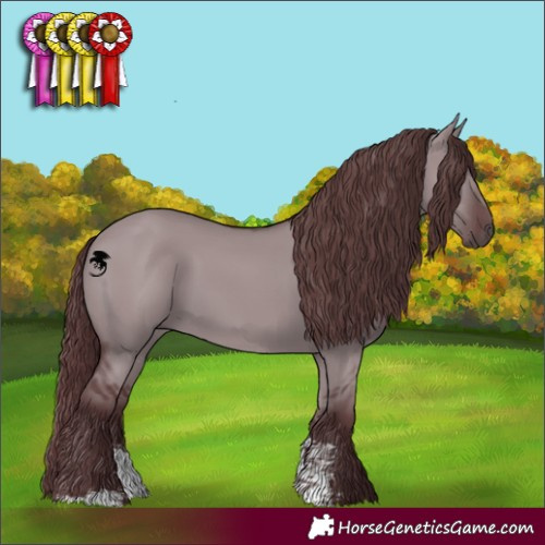 Horse Color:Chocolate Grullo Chinchilla Sabino 