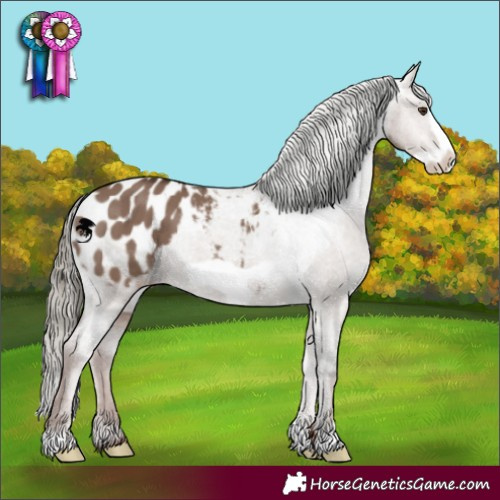 Horse Color:Liver Red Dun Mushroom Frame Appaloosa 