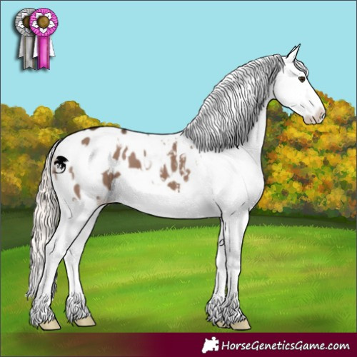 Horse Color:White Spotted Liver Red Dun Mushroom Frame Blanket 