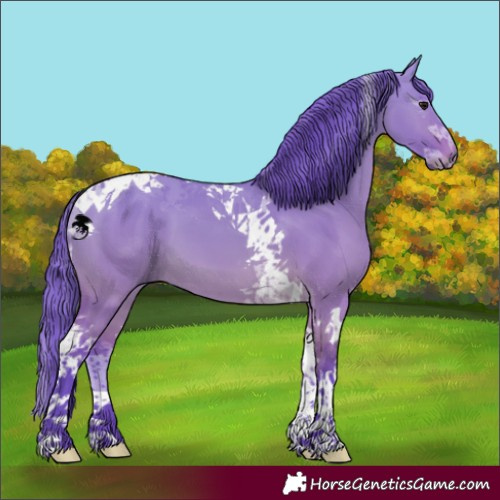 Horse Color:Watercolor Bay Dun Tobiano 