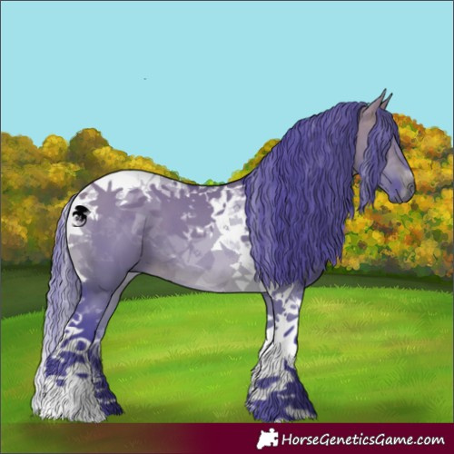 Horse Color:Watercolor Brown Dun Tobiano 