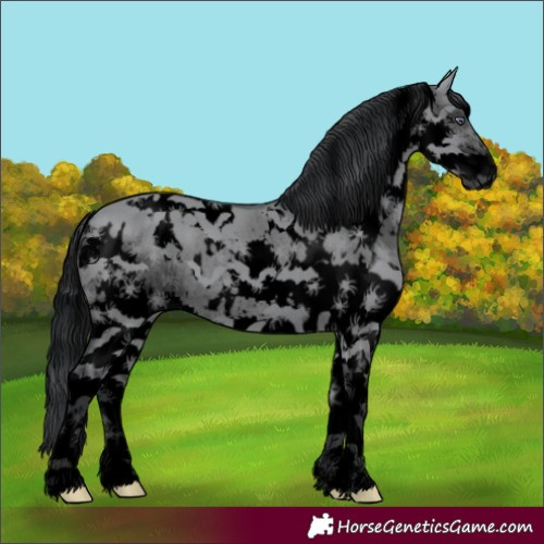 Horse Color:Void White Spotted Grullo Chinchilla Splash 