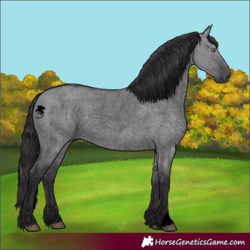 Horse Color:Void Smoky Grullo Chinchilla 