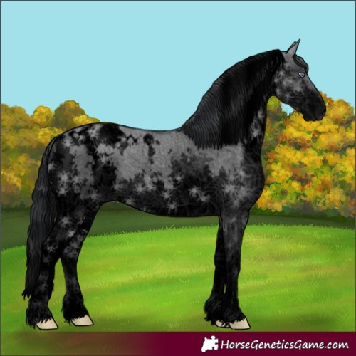 Horse Color:Void White Spotted Grullo Chinchilla Splash 