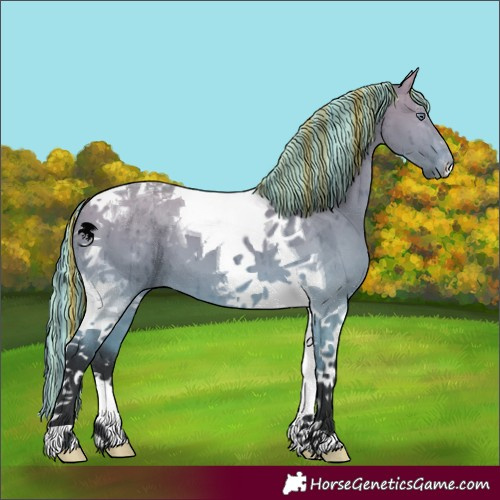 Horse Color:Painted Bay Chinchilla Dun Tobiano Brindle 