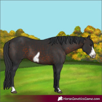 Horse Color:Brown Frame 