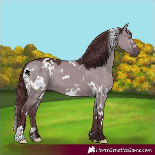 Horse Color:White Spotted Chocolate Grullo Chinchilla 