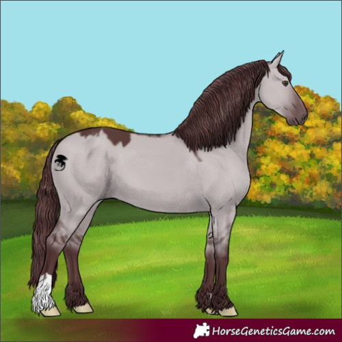 Horse Color:Chocolate Grullo Chinchilla 