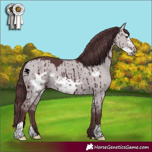 Horse Color:Chocolate Grullo Chinchilla Frame Brindle 