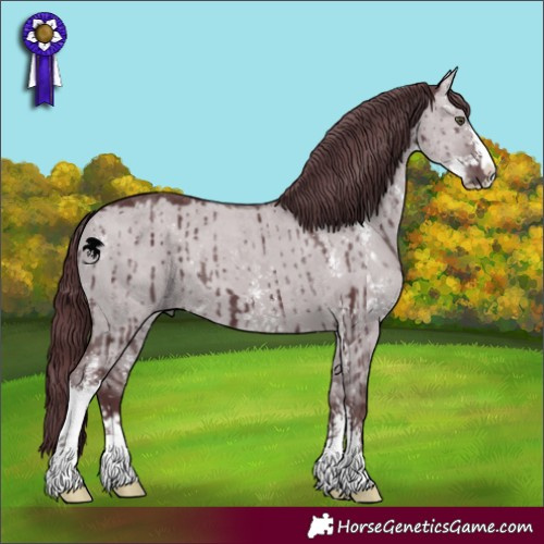 Horse Color:Chocolate Grullo Chinchilla Sabino Brindle 