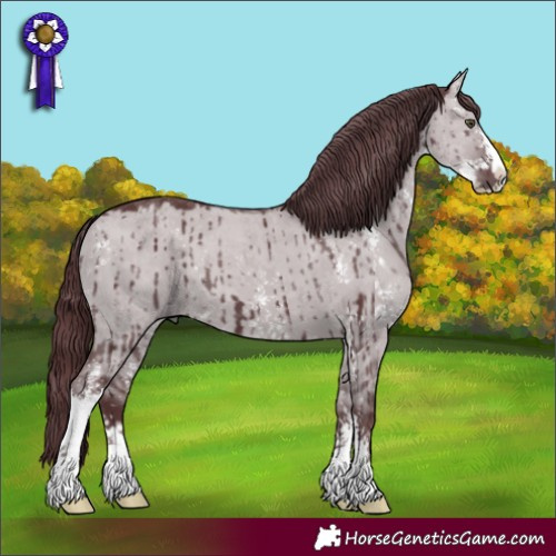 Horse Color:Chocolate Grullo Chinchilla Sabino Brindle