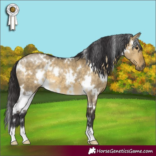 Horse Color:White Spotted Buckskin Dun 