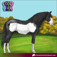 Horse Color:Black Frame 