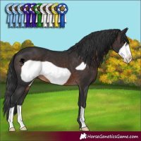 Horse Color:Brown Frame 