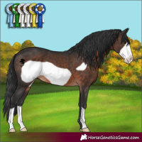 Horse Color:Brown Frame