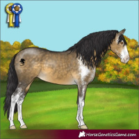 Horse Color:Buckskin Dun Sabino 