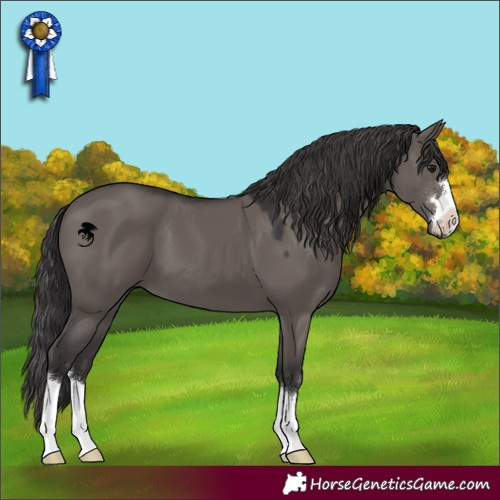 Horse Color:Smoky Grullo