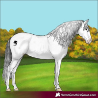 Horse Color:Brown Dun Sabino Brindle 