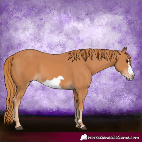 Horse Color:Chestnut Frame 