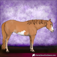 Horse Color:Chestnut Frame