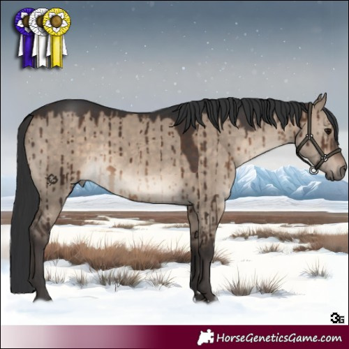 Horse Color:Brown Dun Brindle 
