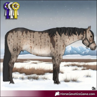 Horse Color:Brown Dun Brindle 