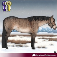 Horse Color:Brown Dun Brindle 