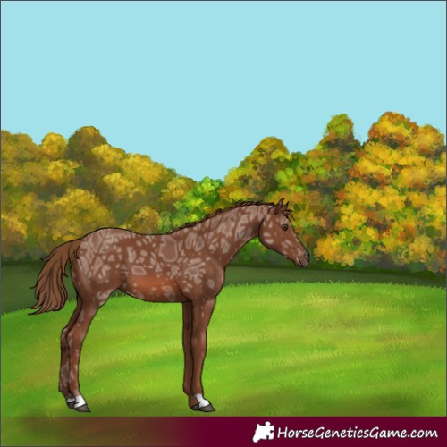 Horse Color:Chestnut Ice 