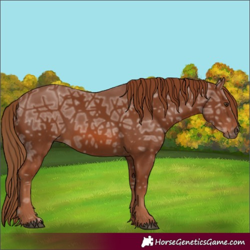 Horse Color:Chestnut Ice 