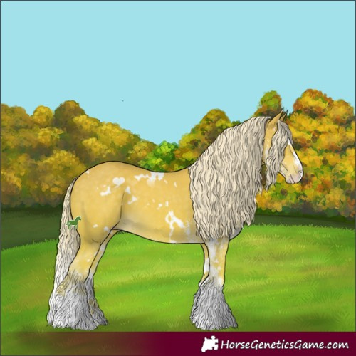 Horse Color:White Spotted Cremello Splash