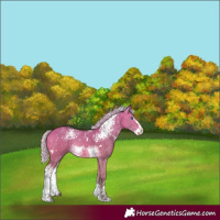 Horse Color:White Spotted Silver Buckskin Dun Splash