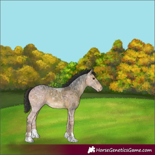Horse Color:Brown Ice