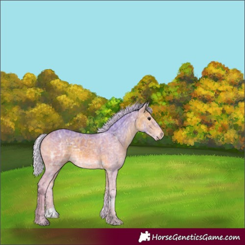 Horse Color:Watercolor Silver Bay Ice