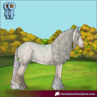 Horse Color:Watercolor Silver Black Ice 