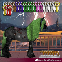 Horse Color:ERROR: UNKNOWN ANOMALY