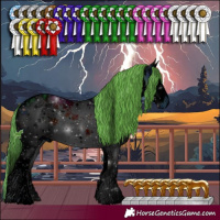 Horse Color:ERROR: UNKNOWN ANOMALY