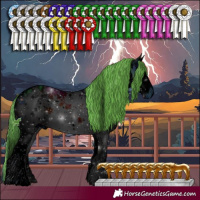 Horse Color:ERROR: UNKNOWN ANOMALY