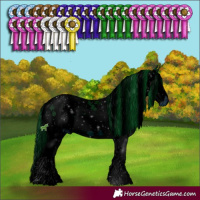 Horse Color:ERROR: UNKNOWN ANOMALY