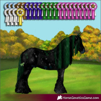 Horse Color:ERROR: UNKNOWN ANOMALY