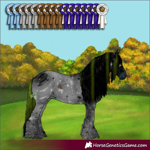 Horse Color:ERROR: UNKNOWN ANOMALY