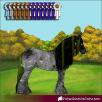 Horse Color:ERROR: UNKNOWN ANOMALY