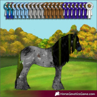 Horse Color:ERROR: UNKNOWN ANOMALY