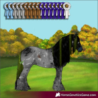 Horse Color:ERROR: UNKNOWN ANOMALY