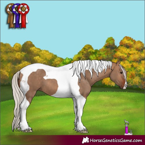 Horse Color:Silver Bay Dun Tobiano 
