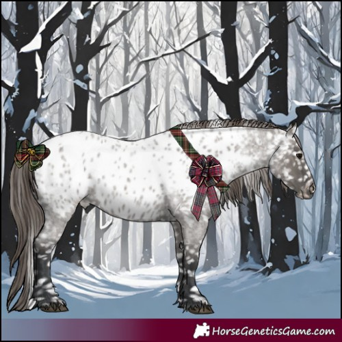 Horse Color:Grullo Roan Near Leopard 