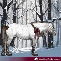 Horse Color:Grullo Roan Near Leopard 